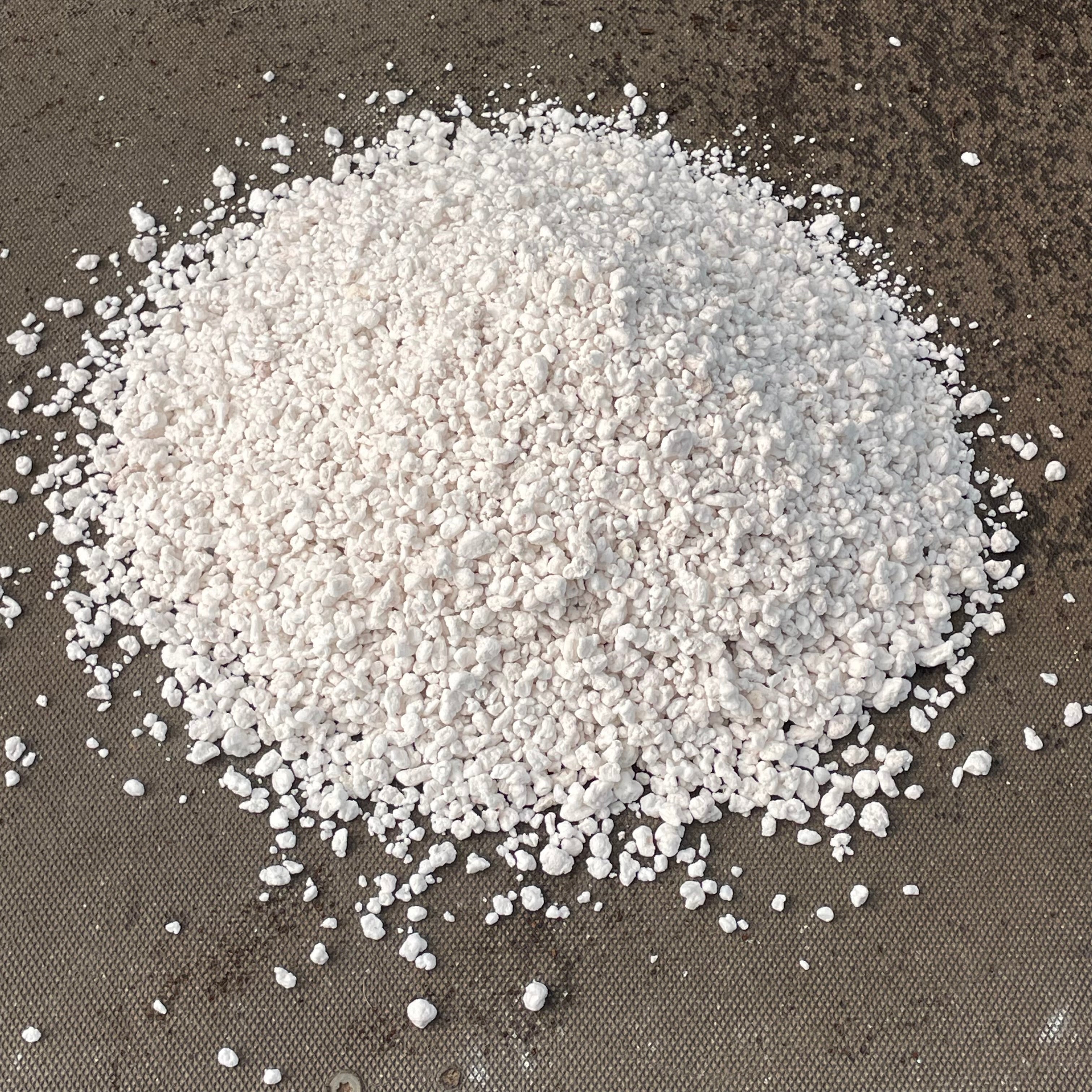 perlite for succulents Perlite – Surreal Succulents