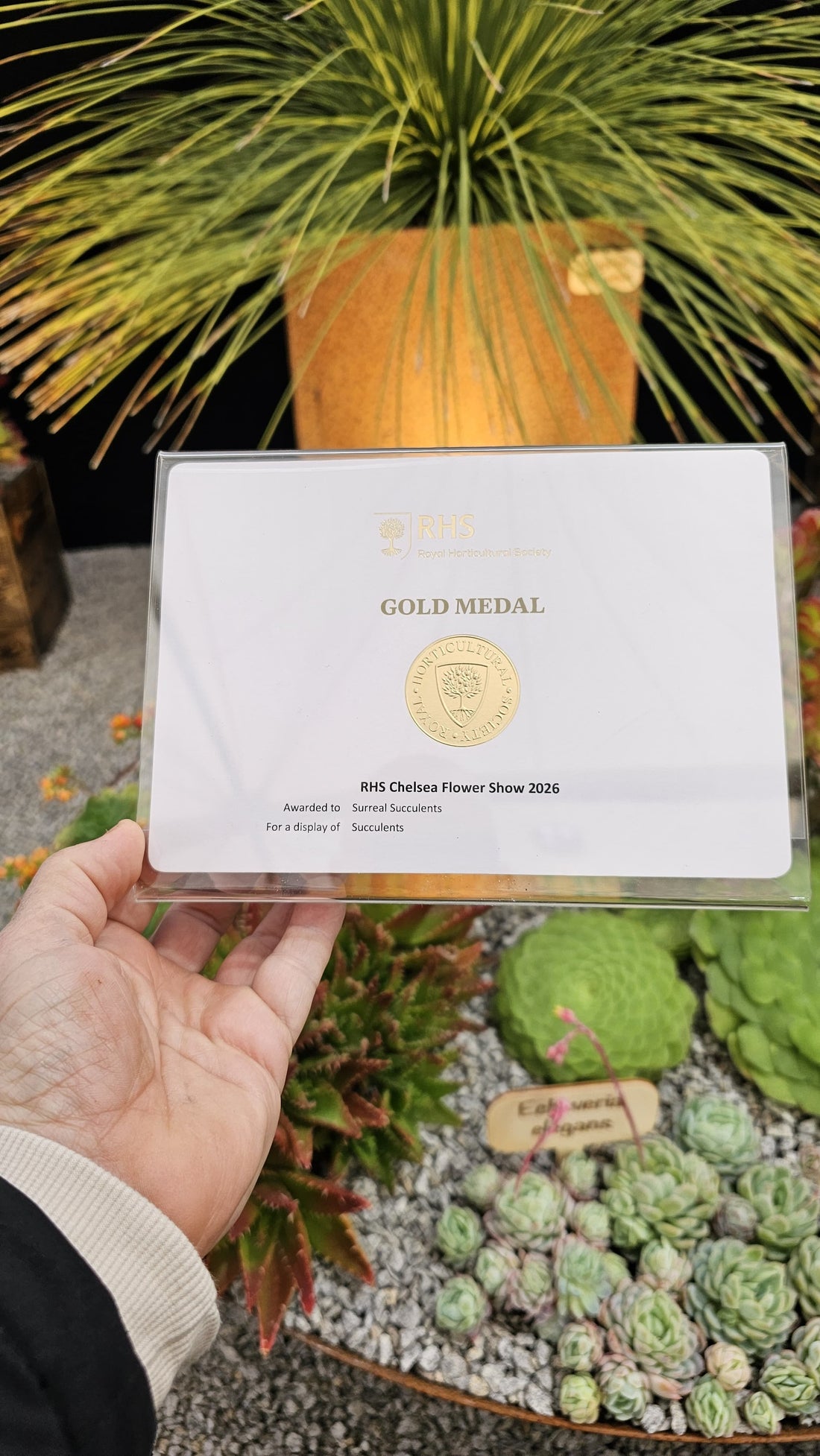 We Won Gold At RHS Chelsea Flower Show 2026