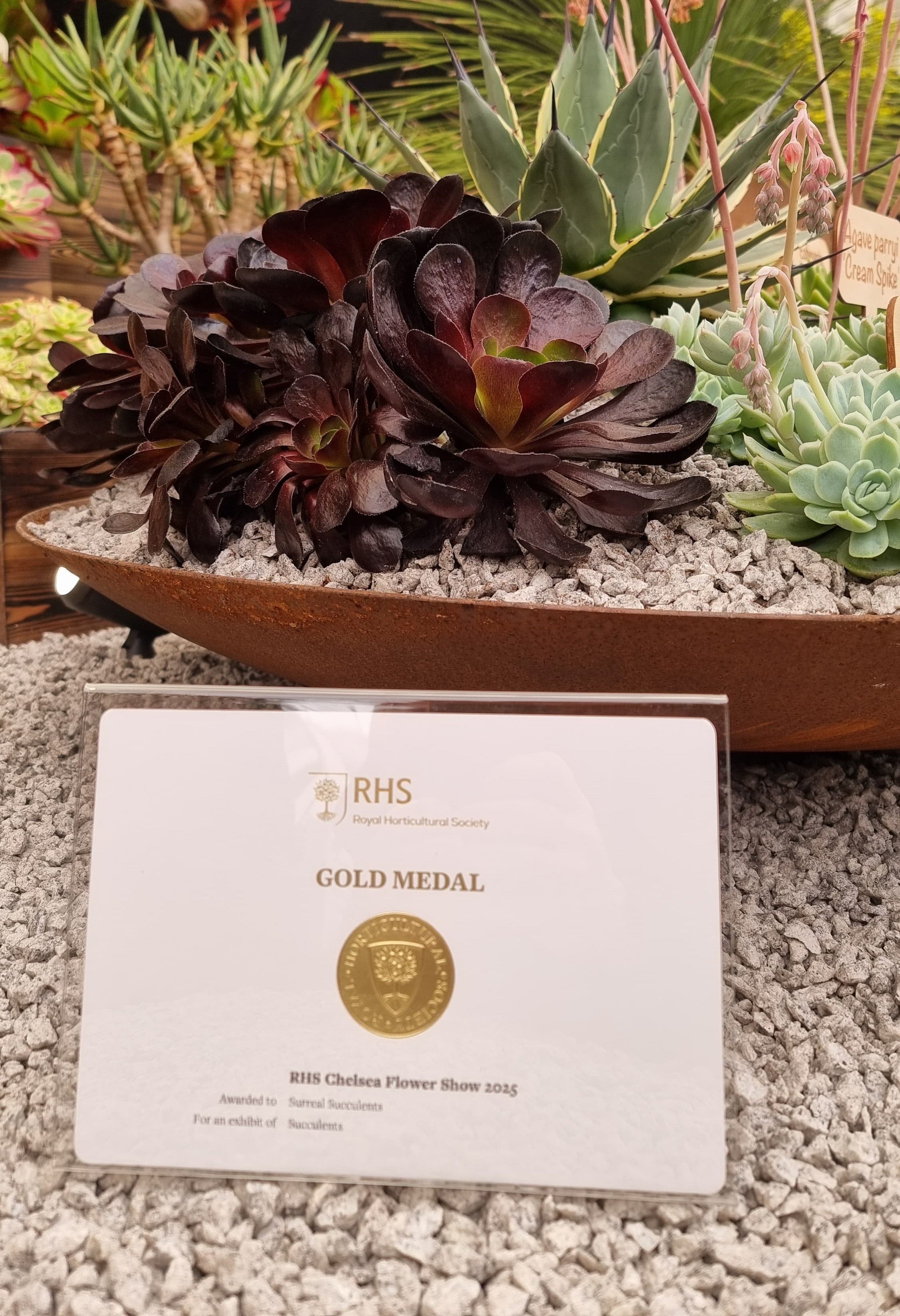 Chelsea Flower Show 2025