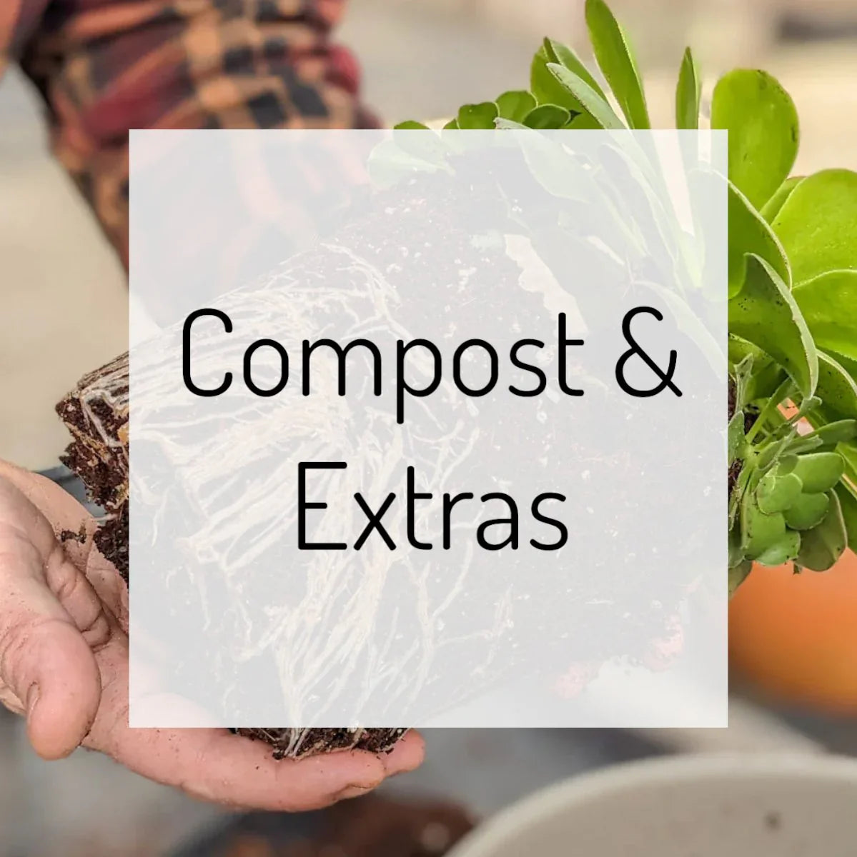 Compost & Extras