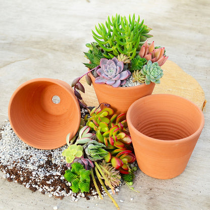 Handmade Cornish Terracotta Pot