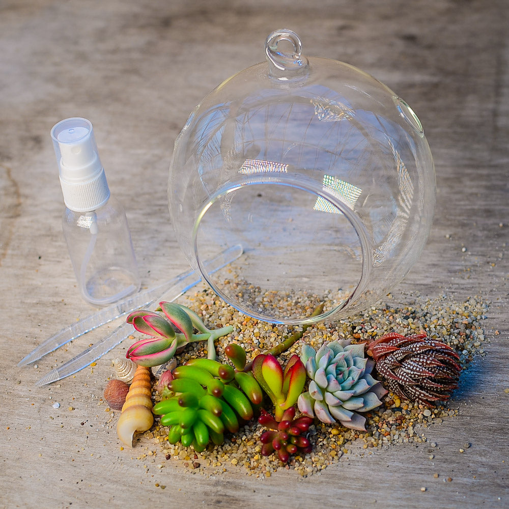 ‘Globe Garden’ Terrarium Kit