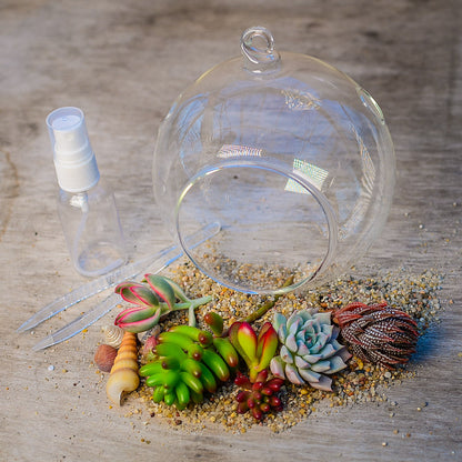 Globe Terrarium Succulent Grow Kit