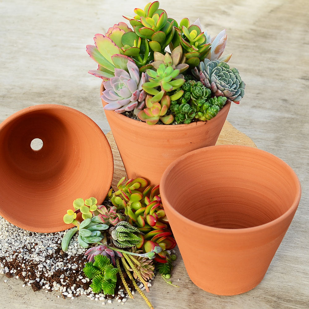 Handmade Cornish Terracotta Pot Kit