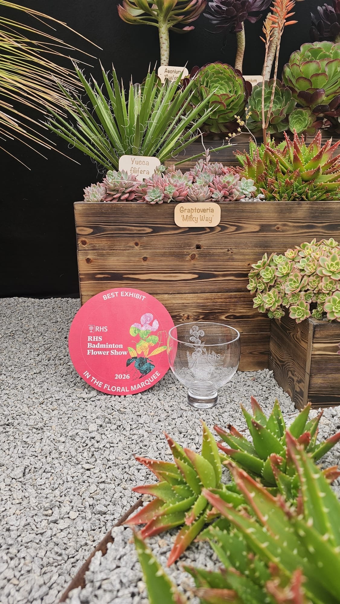 店舗 – Surreal Succulents
