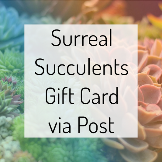 Surreal Succulents Gift Card via Post