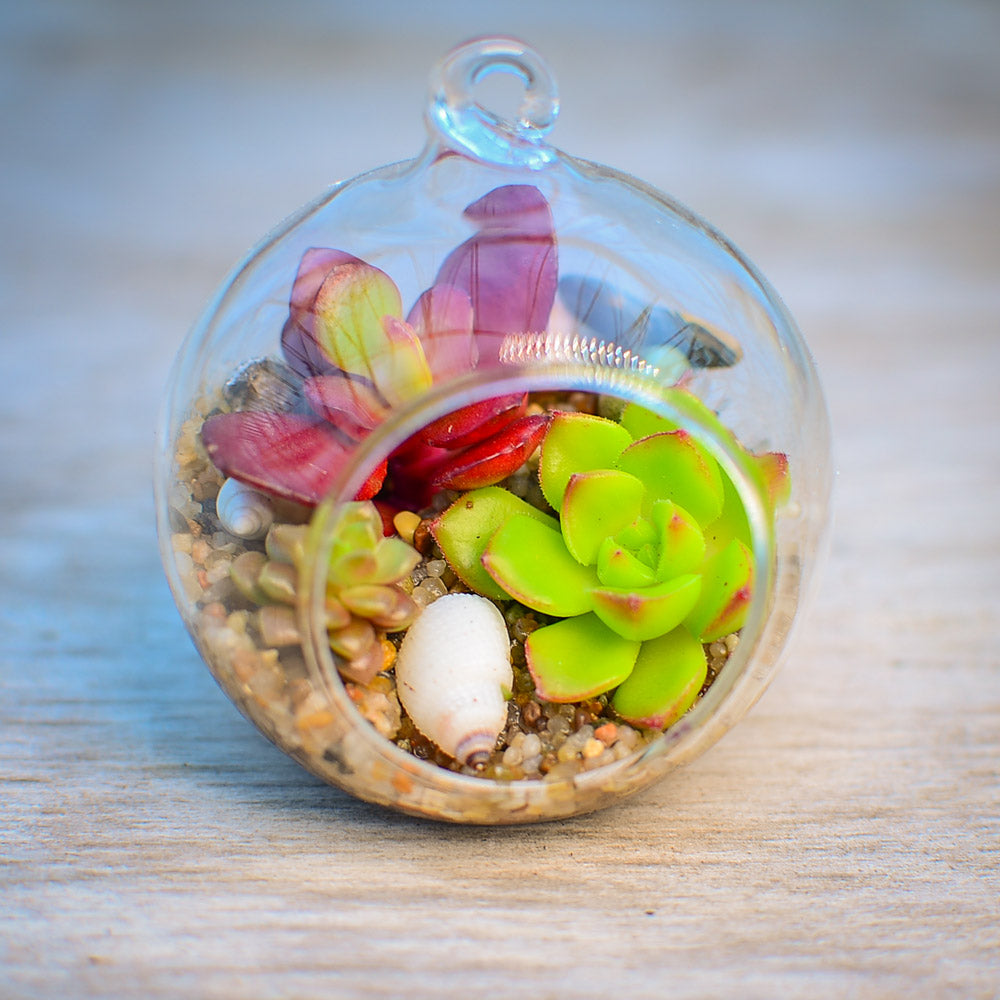 ‘Globe Garden’ Terrarium Kit