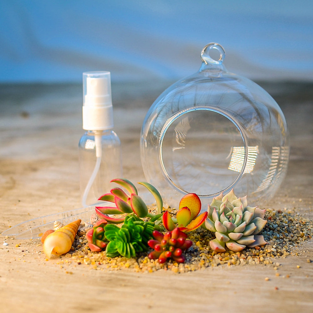 ‘Globe Garden’ Terrarium Kit