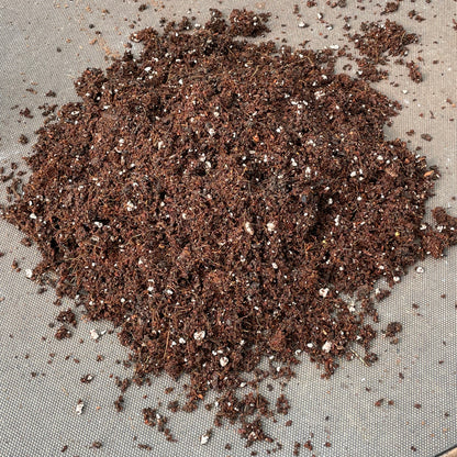 General Succulent Compost Mix