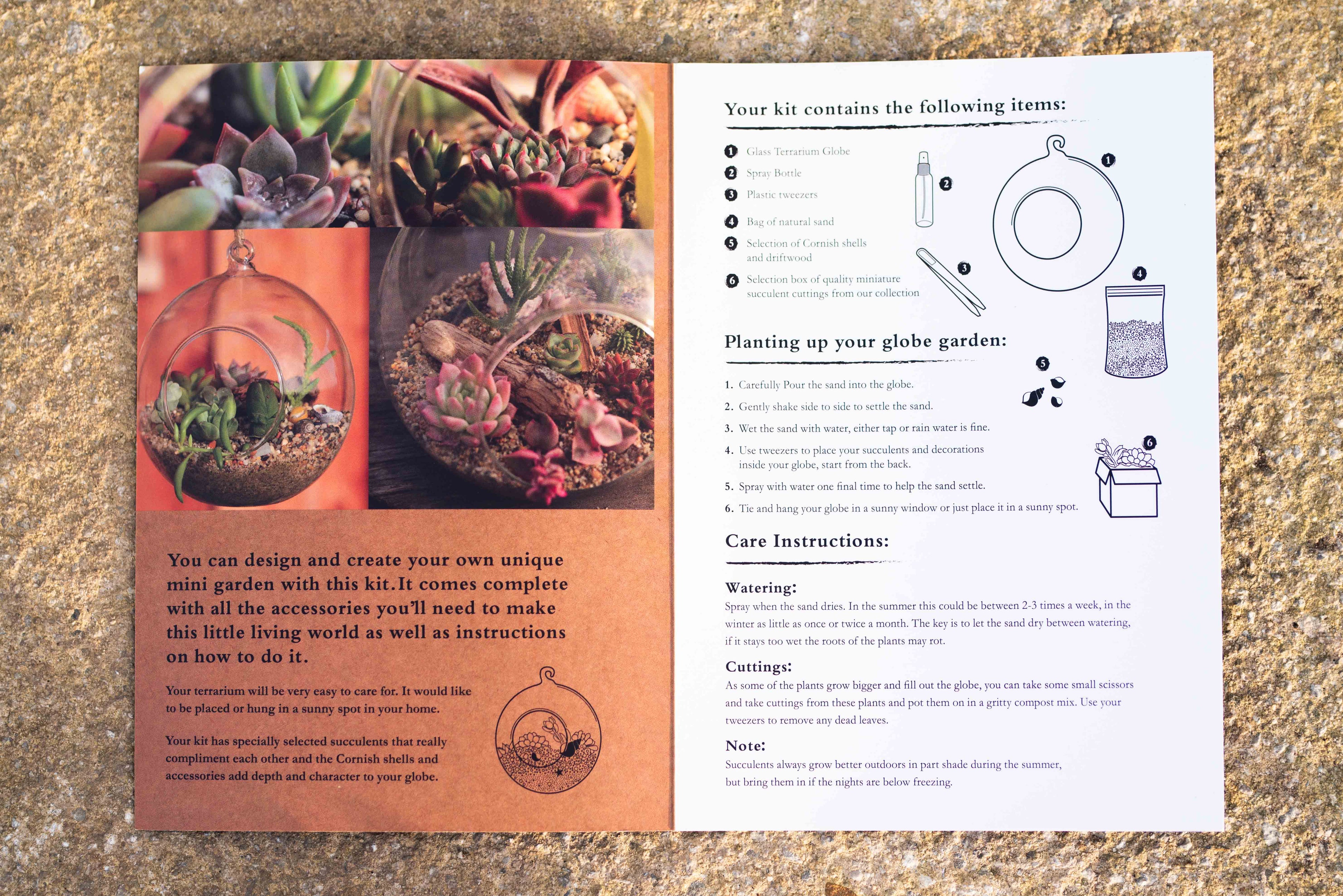 Geometric Terrarium Succulent Grow Kit