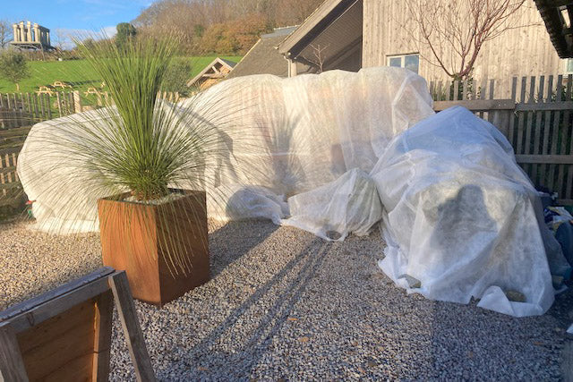 High Quality Horticultural Fleece | 60g/sm