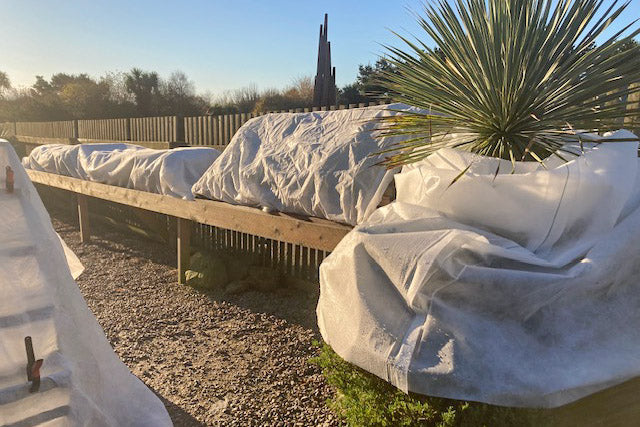 High Quality Horticultural Fleece | 60g/sm