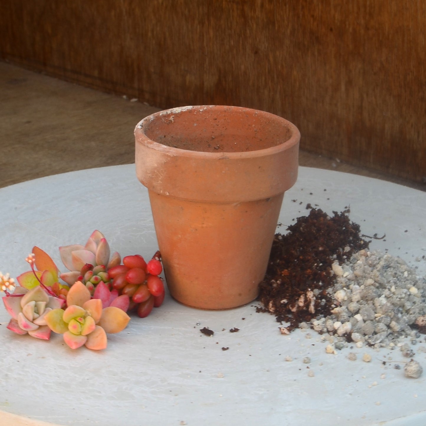 Mini Rustic Vintage Terracotta Pot