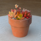 Mini Rustic Vintage Terracotta Pot Kit