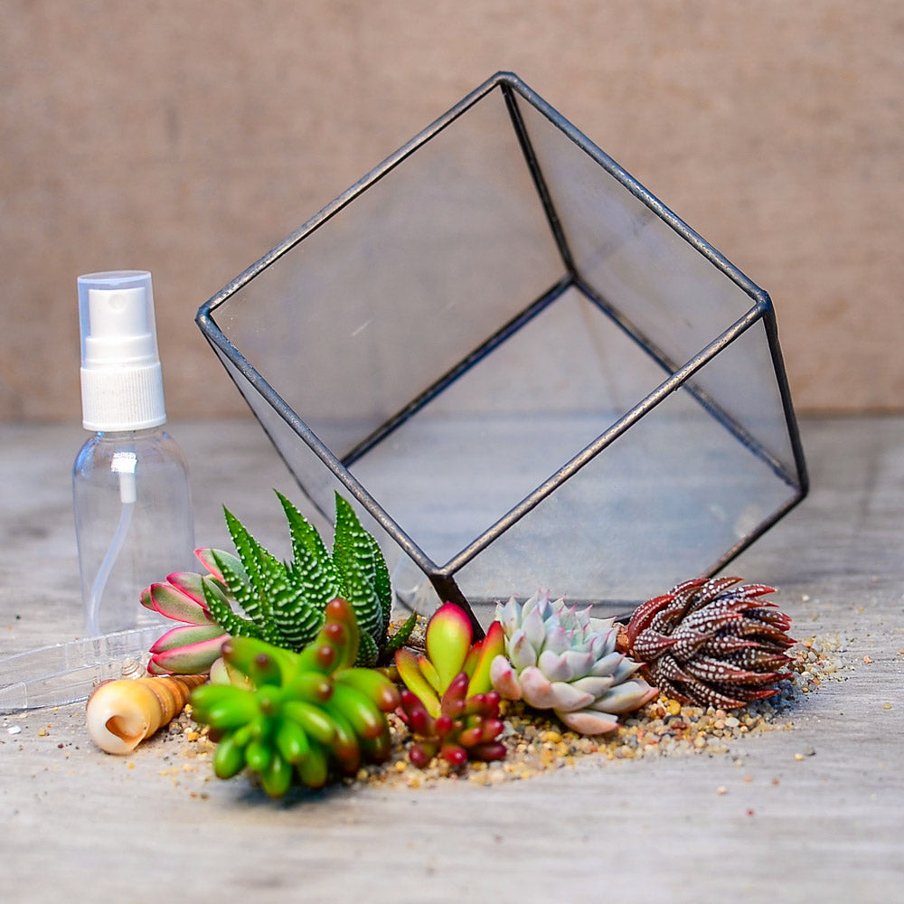 ‘Globe Garden’ Terrarium Kit