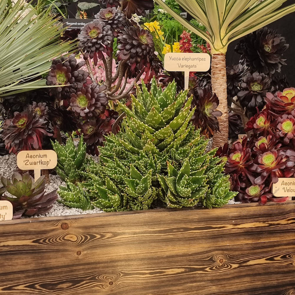 Fired Wooden Planter Kit