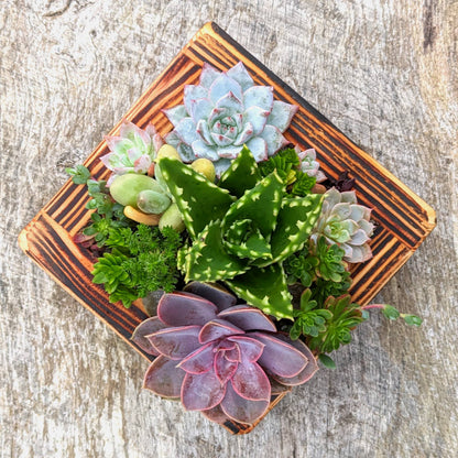 Fired Wooden Planter