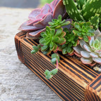 Fired Wooden Planter Kit