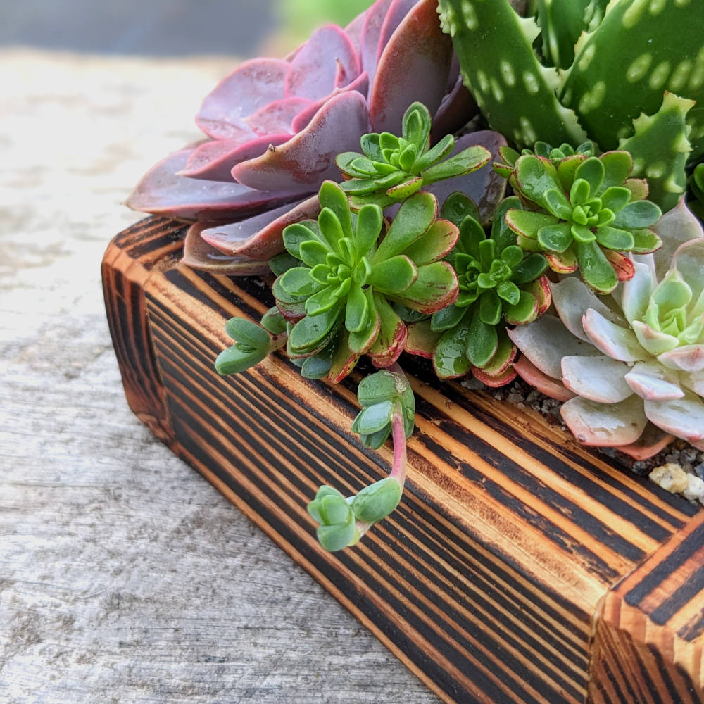 Fired Wooden Planter