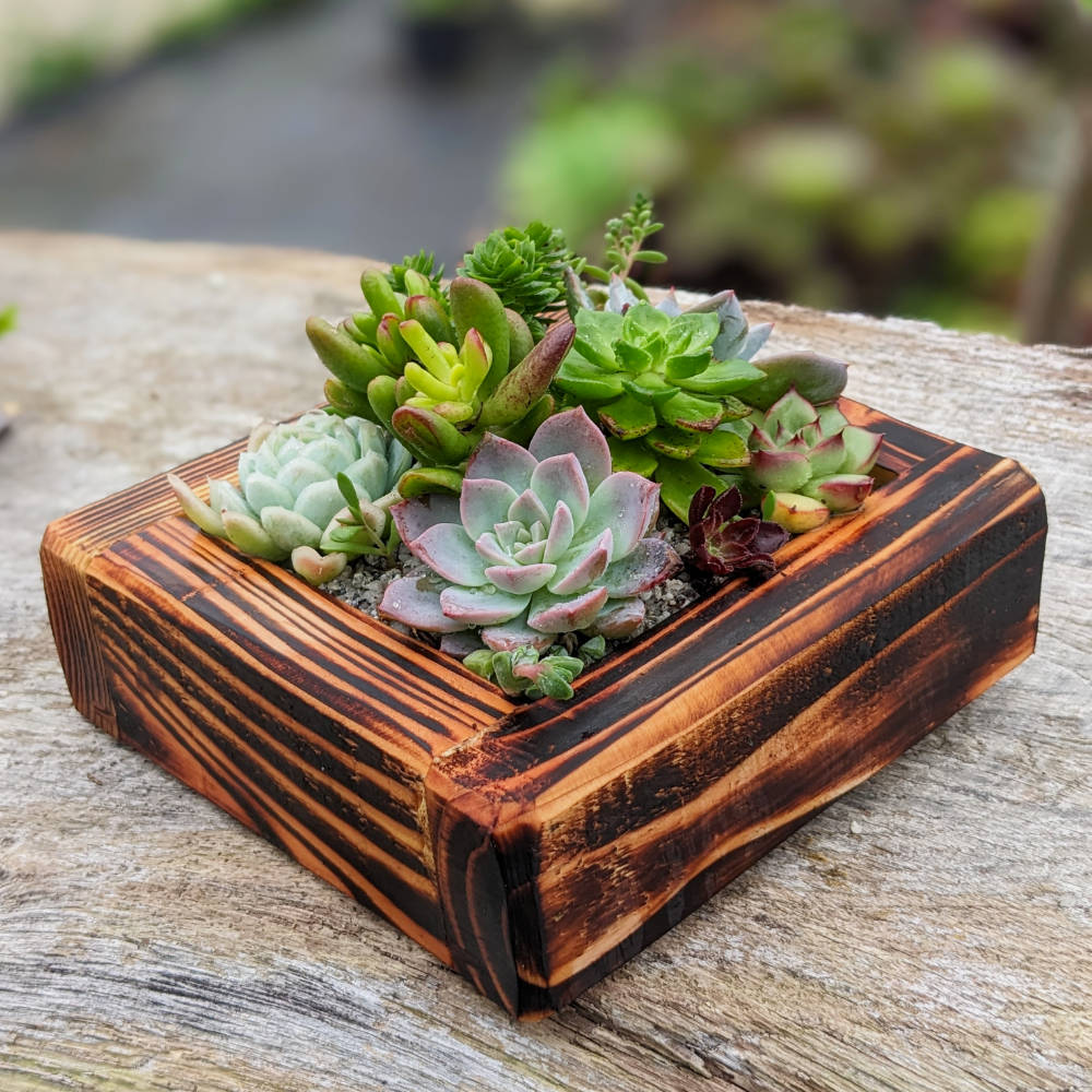 Fired Wooden Planter