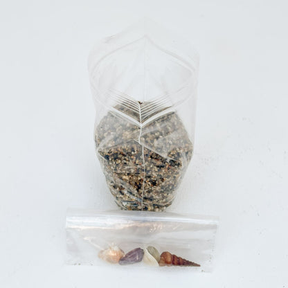 Terrarium sand & shells