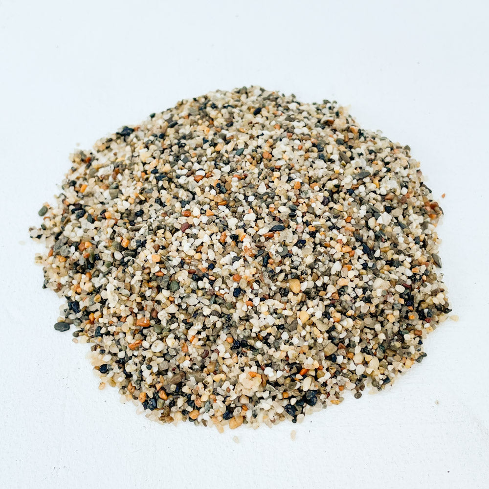 Terrarium sand & shells