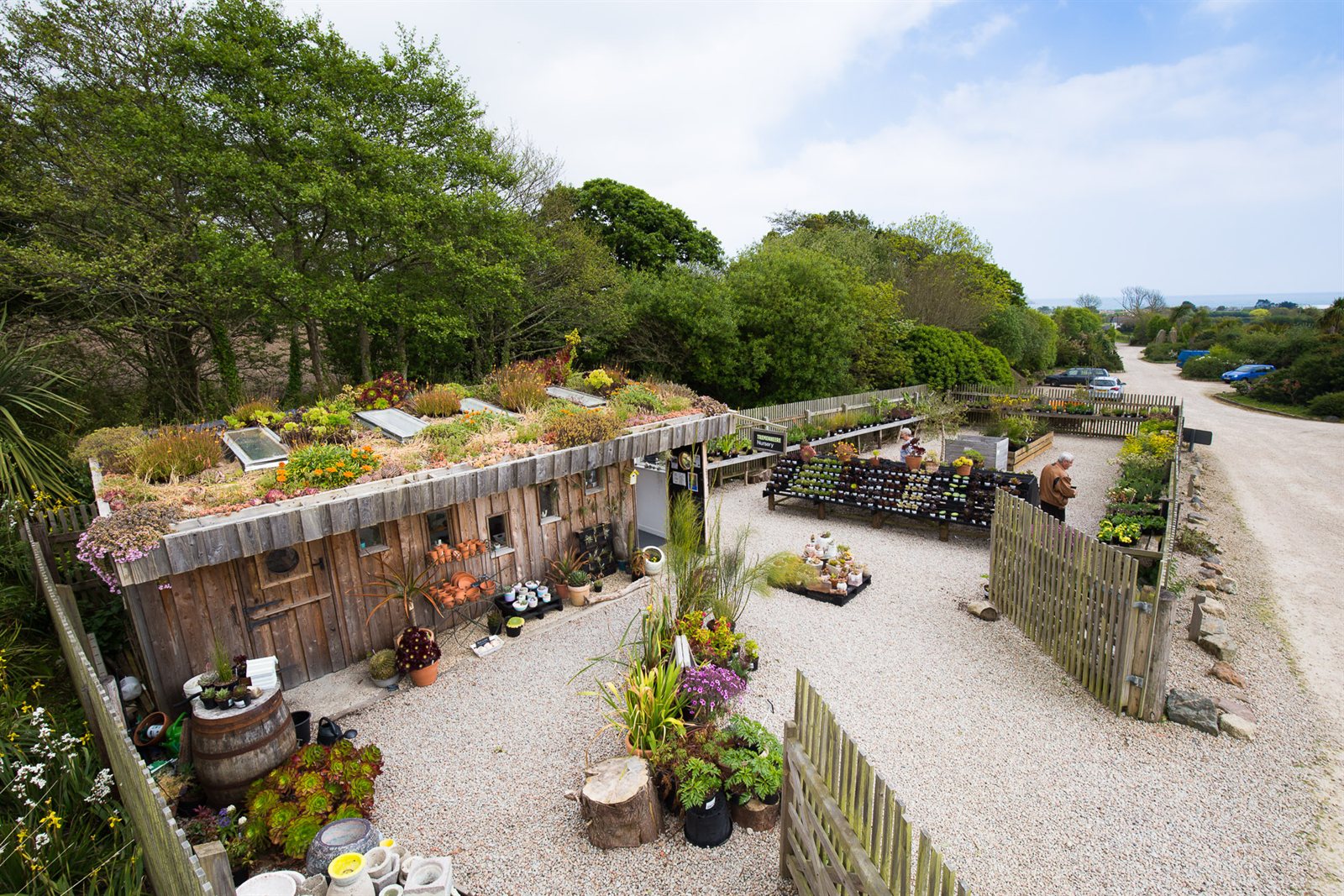 The Surreal Succulents nursery cabin at Tremenheere, with its living, planted green roof