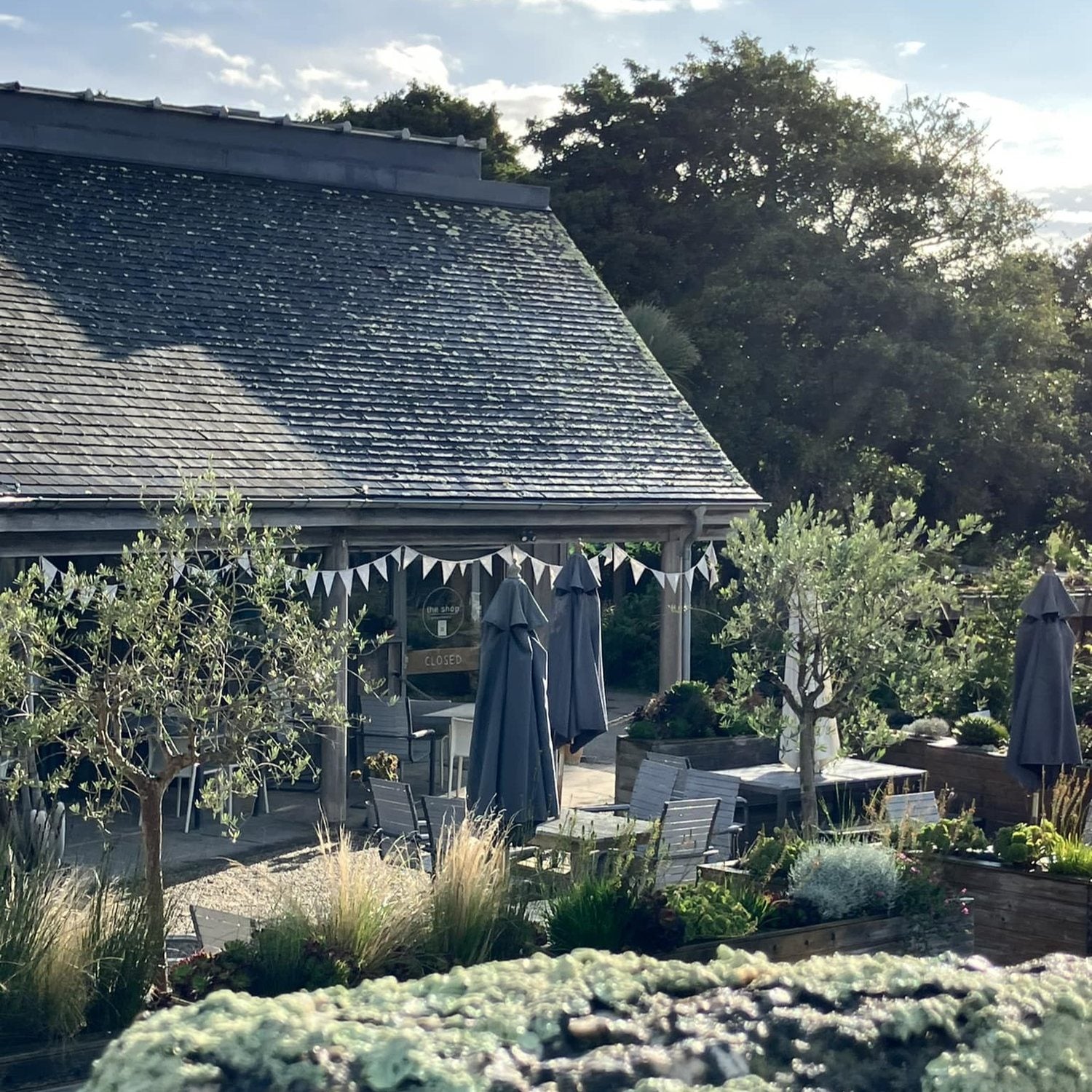 Food and wine on the terrace at Tremenheere Kitchen